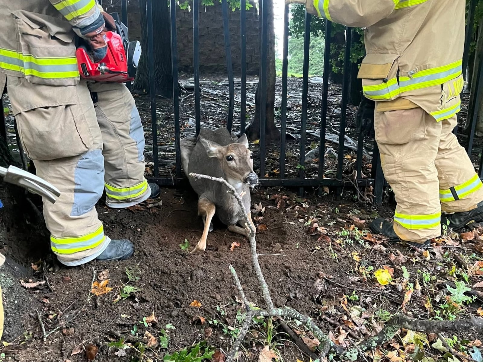N.J. firefighters had a very unexpected rescue call during the nor’easter