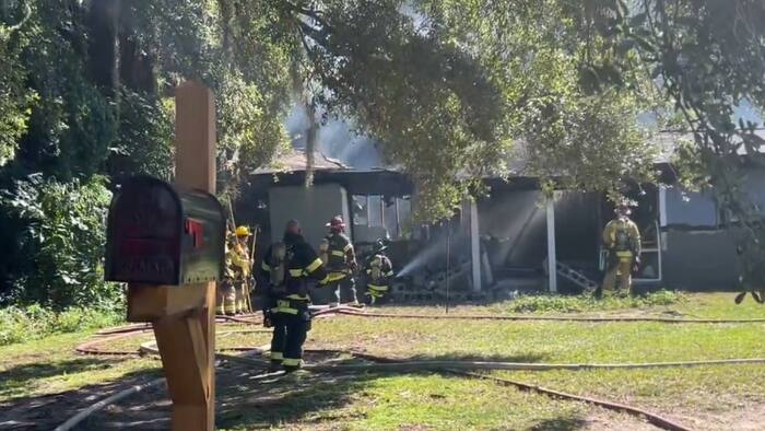 At least 4 dogs killed in Geneva house fire, officials say