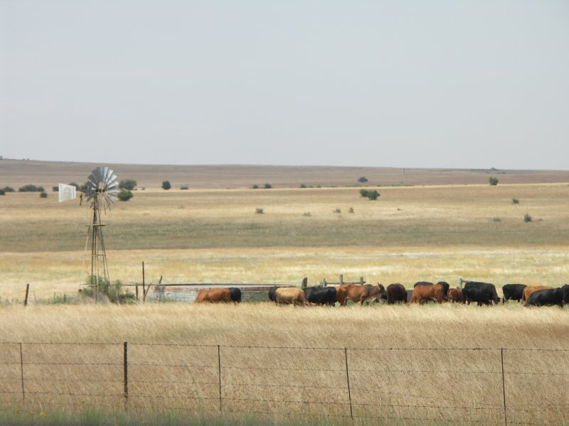 Strict Gun Laws Fail To Stop South African Slaughter By Gunmen With AK-47s