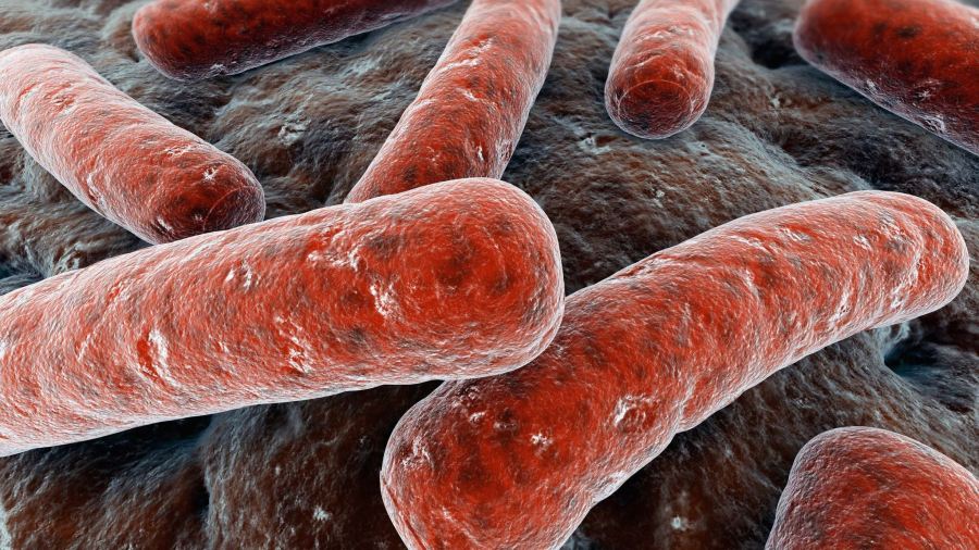 Positive TB case identified in Rowan-Salisbury Schools: Health officials