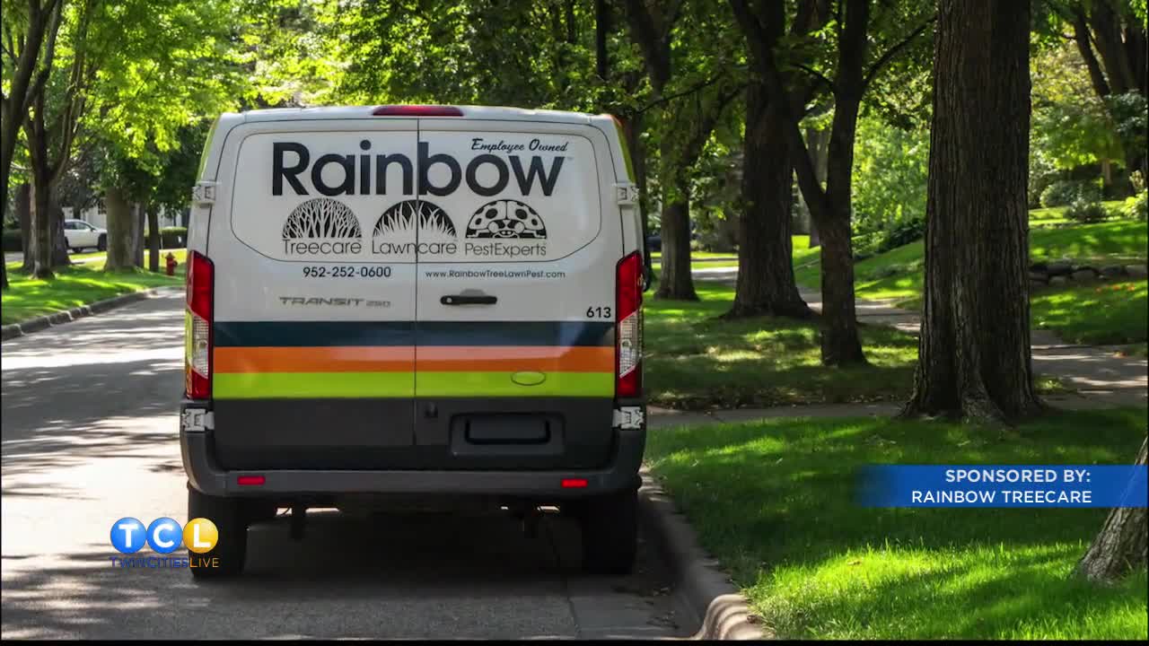 Fall tree care with Rainbow Treecare