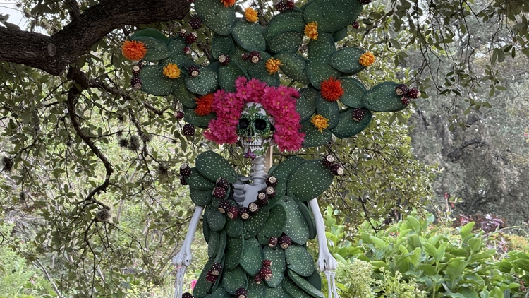 Botanical Garden exhibit blends nature and culture for Dia de los Muertos