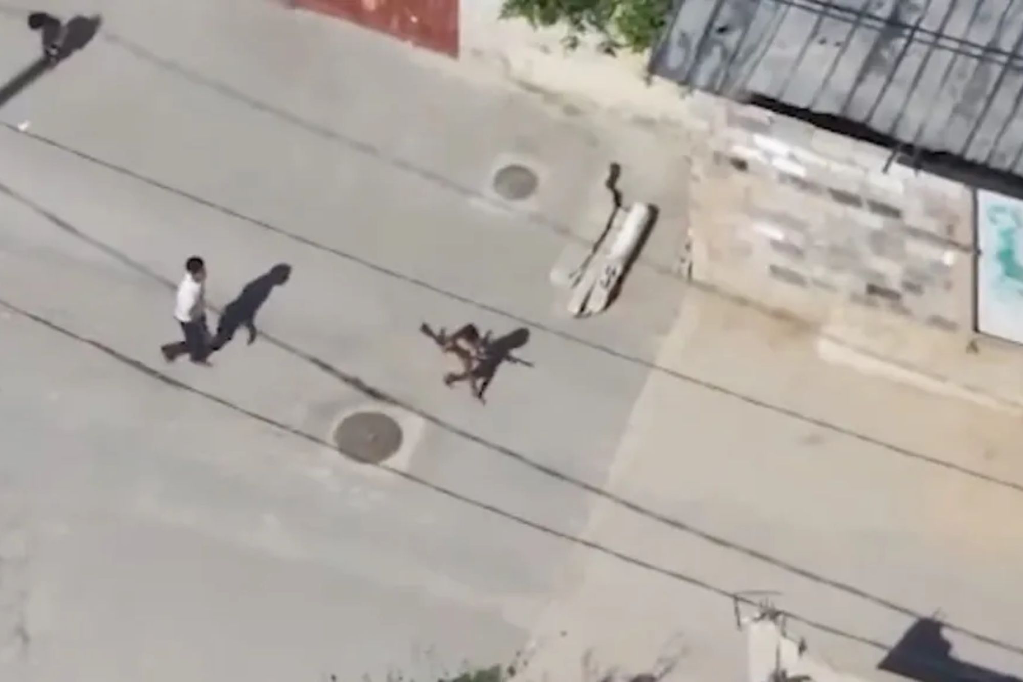 Grim video shows Hamas using child as human shield to carry weapons into Gaza home