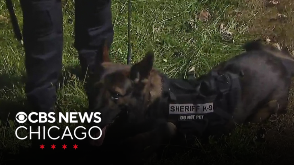 Lake County sheriff's K9 Loki helps find child who went missing for hours