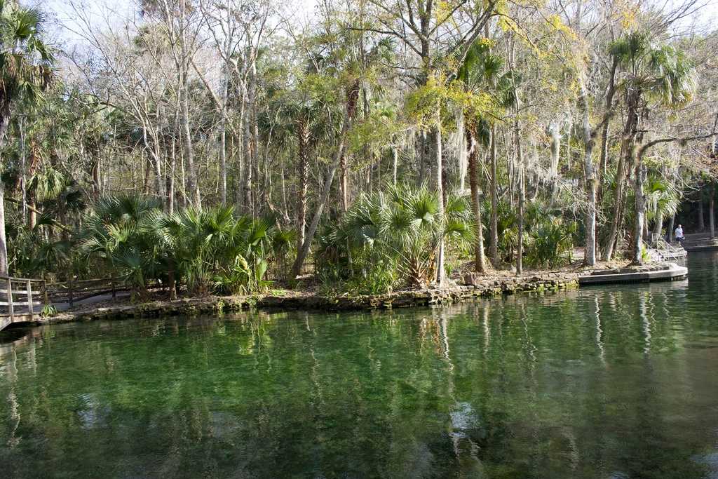 Body pulled from water at Wekiwa Springs State Park, officials say