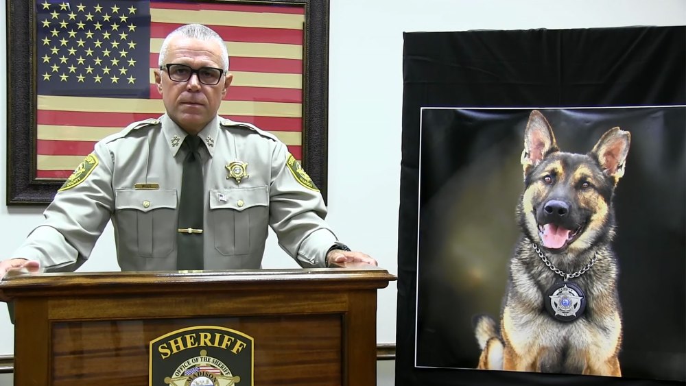 Handler Left K-9 Without Water in Kennel for 36 Hours, Causing Dog's Death
