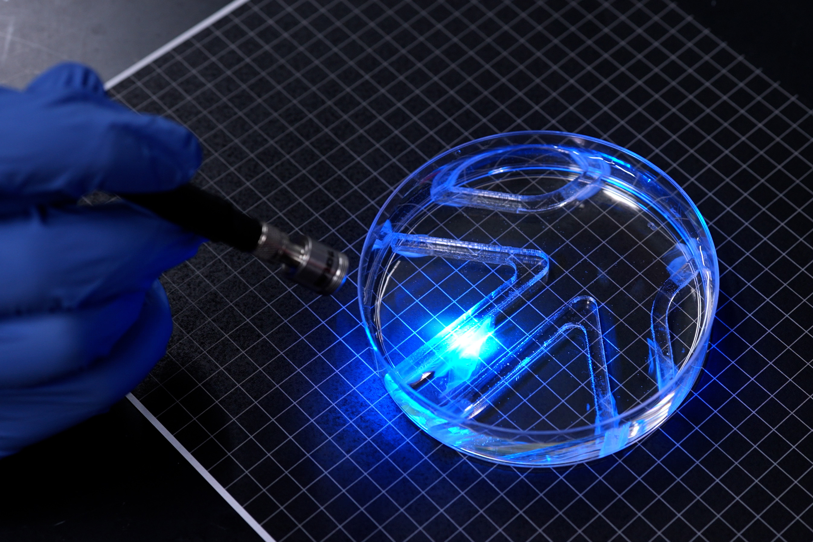 Powered by muscle cells, a paper-thin robot swims through watery maze