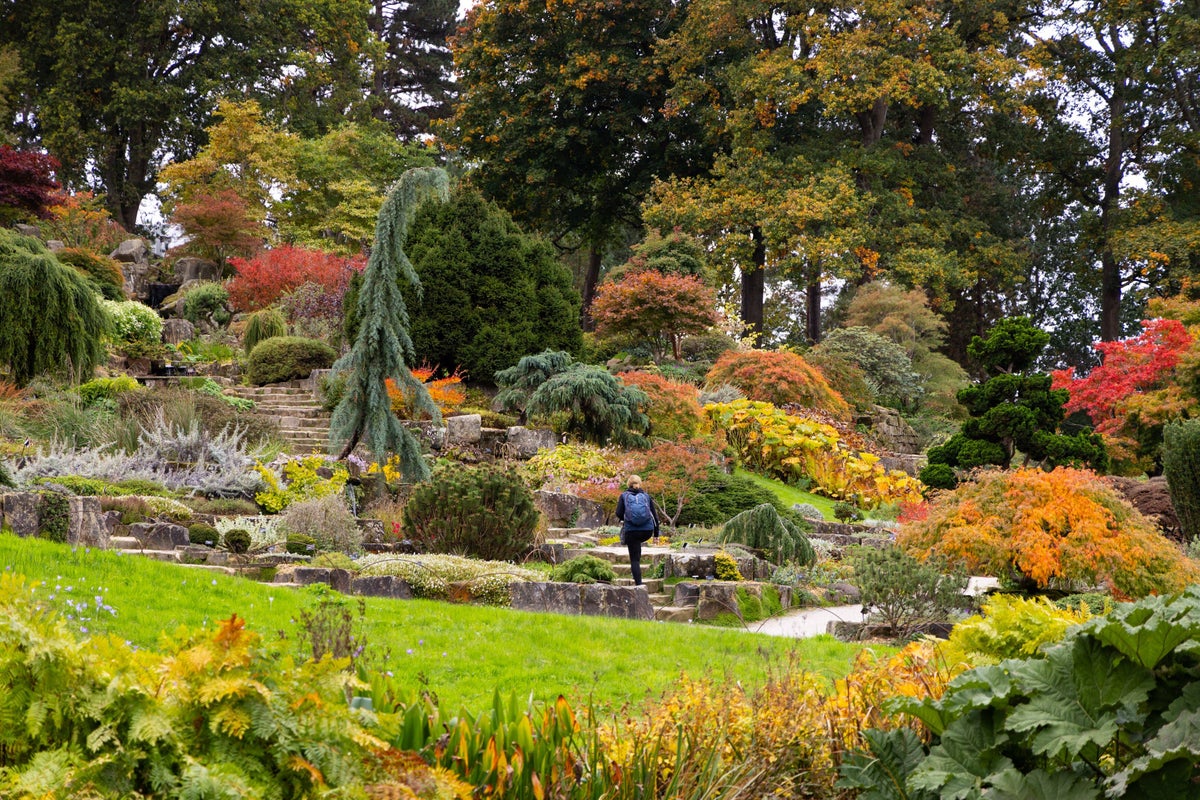 12 top gardens to visit for autumn colour