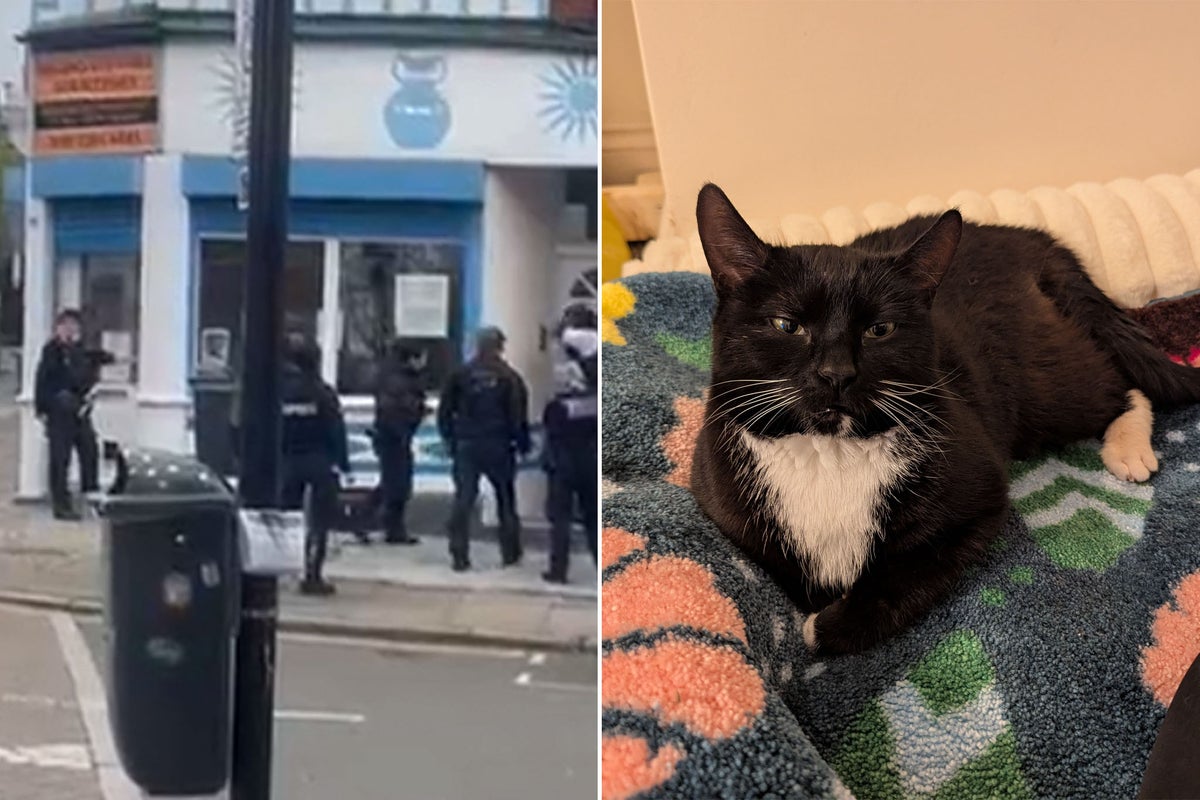 Cat owner sues RSPCA and police for £500k in bid to see pet’s body one last time