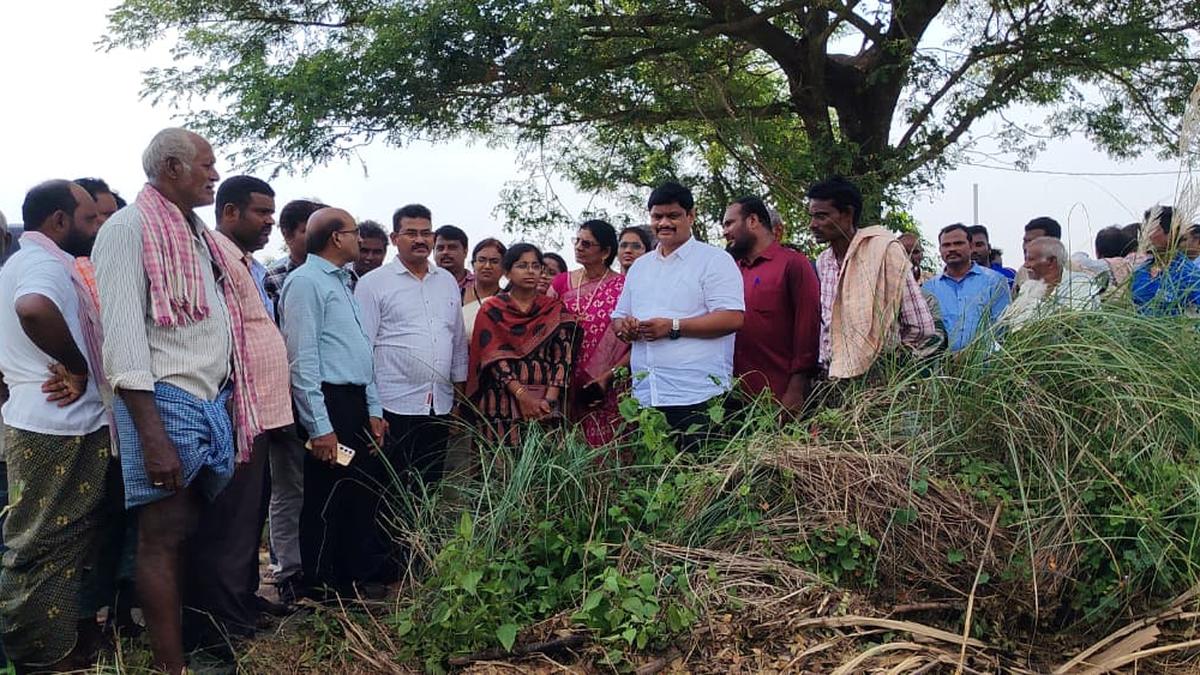 Floods damaged crops on 13,000 acres in Andhra’s Srikakulam, says Agriculture Department