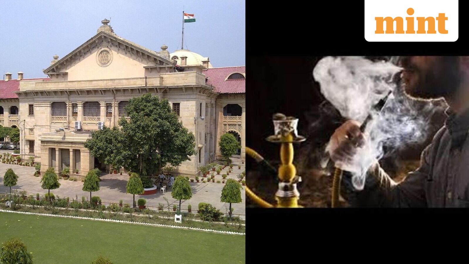 Allahabad HC bars sale of hookah in restaurants, operation of hookah bars in UP, cites violation under COTPA