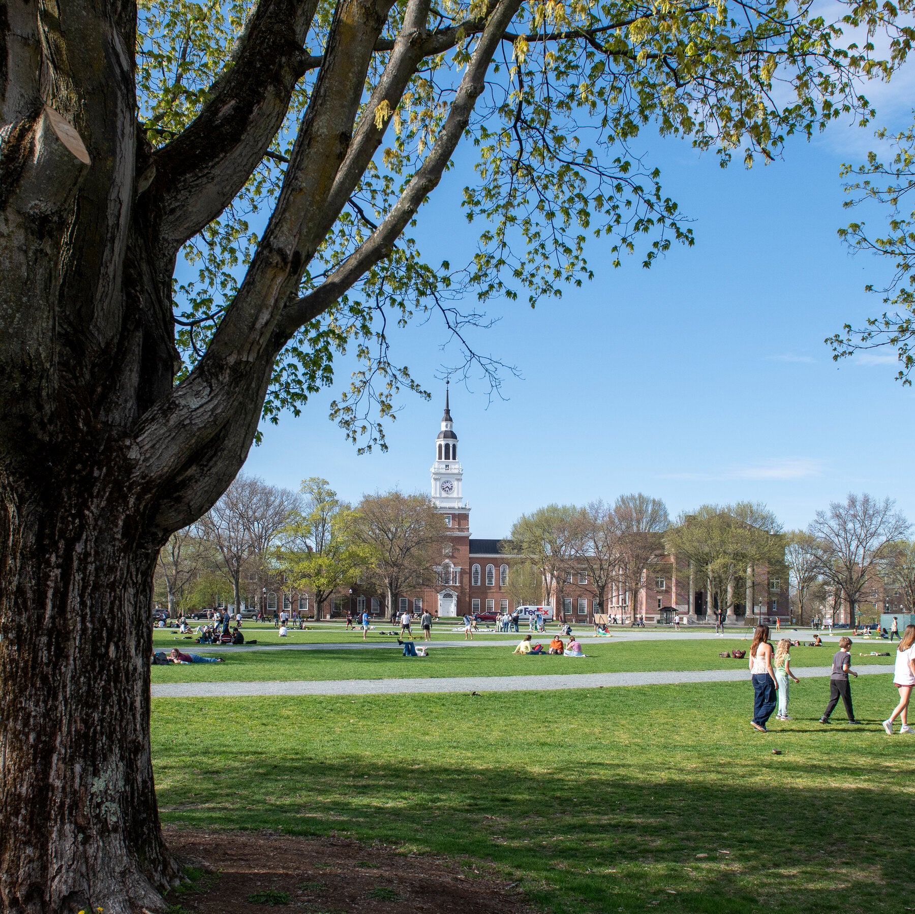 Dartmouth Provost Is the Latest College Professor Examined for A.I. Use