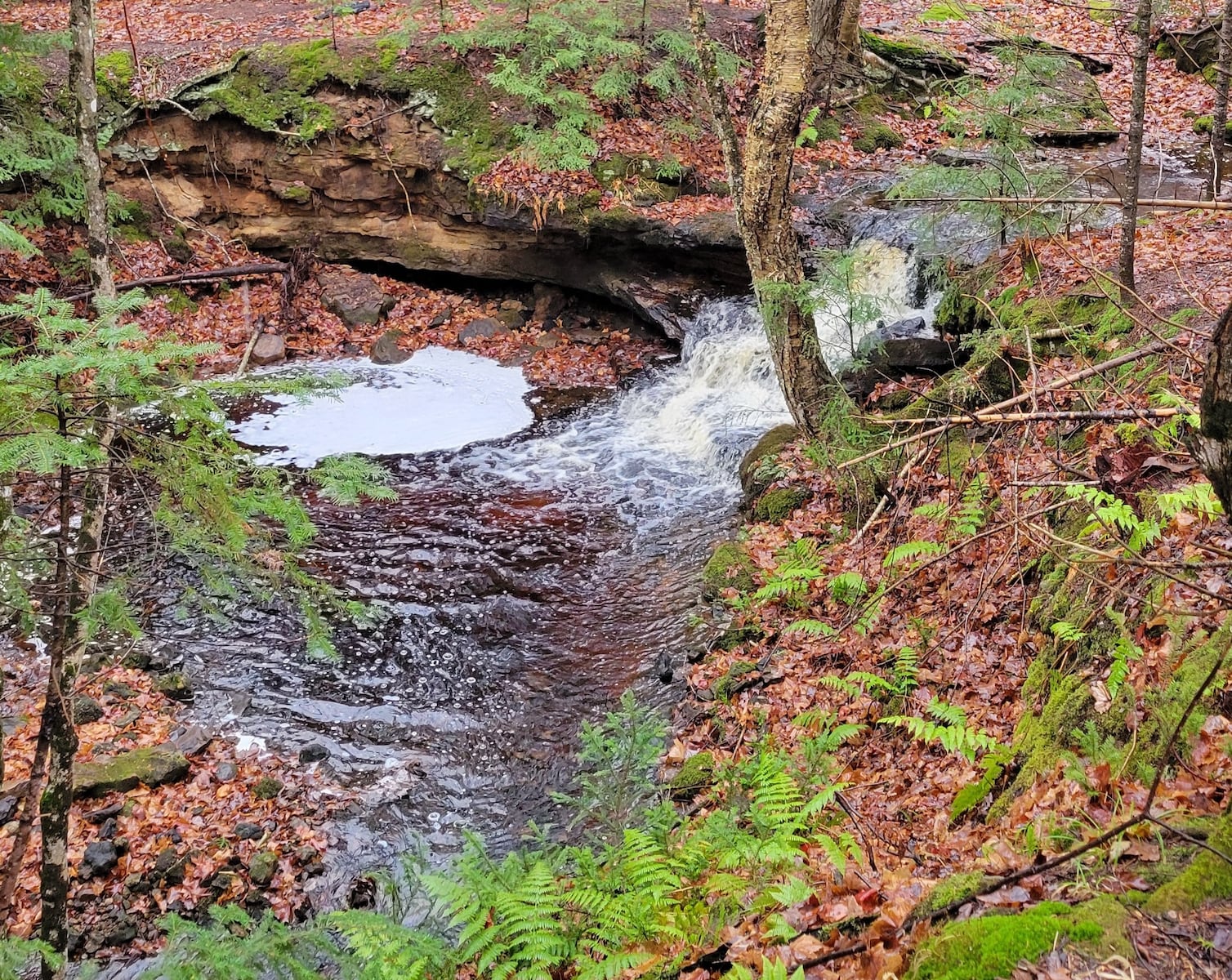 Michigan pursues $50M conservation project, and 4 other major stories