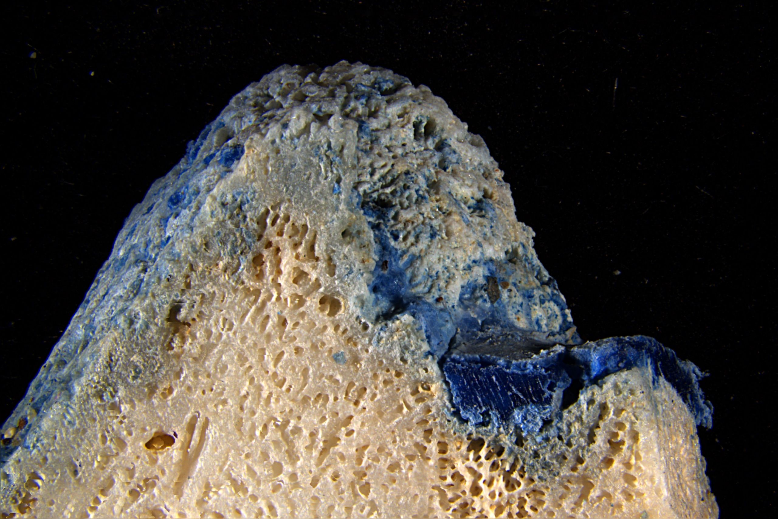Plastic Is Melting Onto Corals