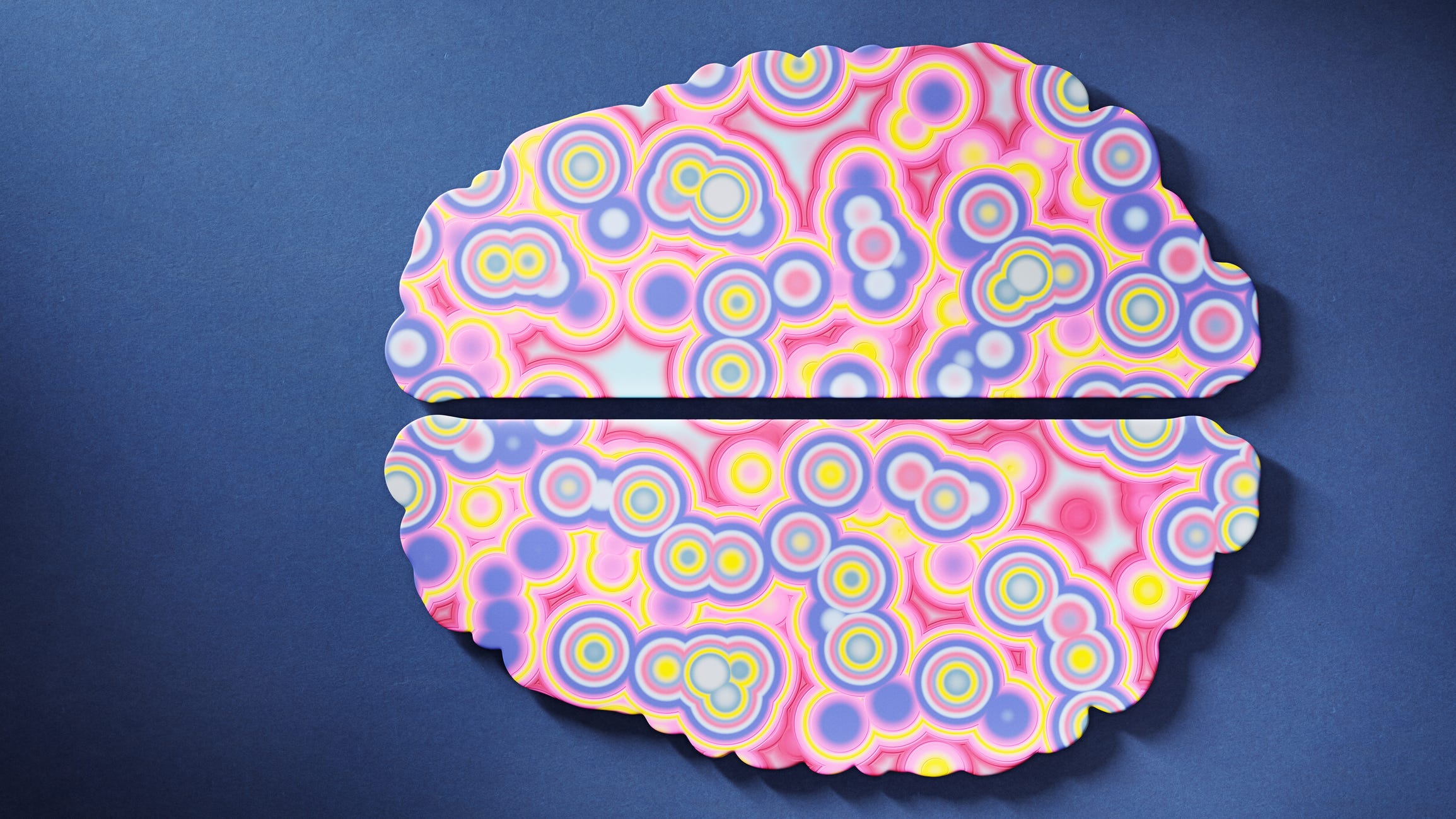 Surprise! You Have Two Brains.