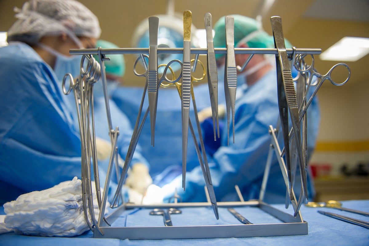 Scientists find donor hearts match biological age of recipient after transplant