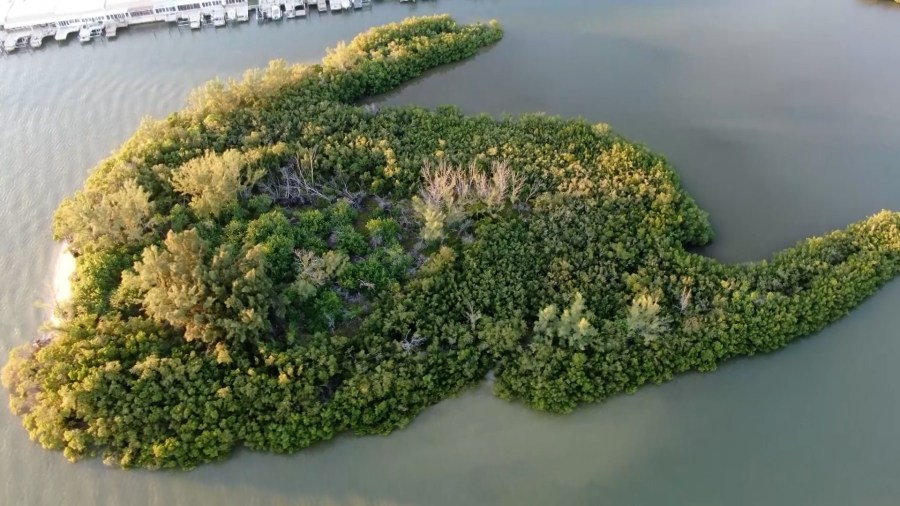 Pinellas County leaders, community discuss buying land on Boca Ciega Bay for conservation