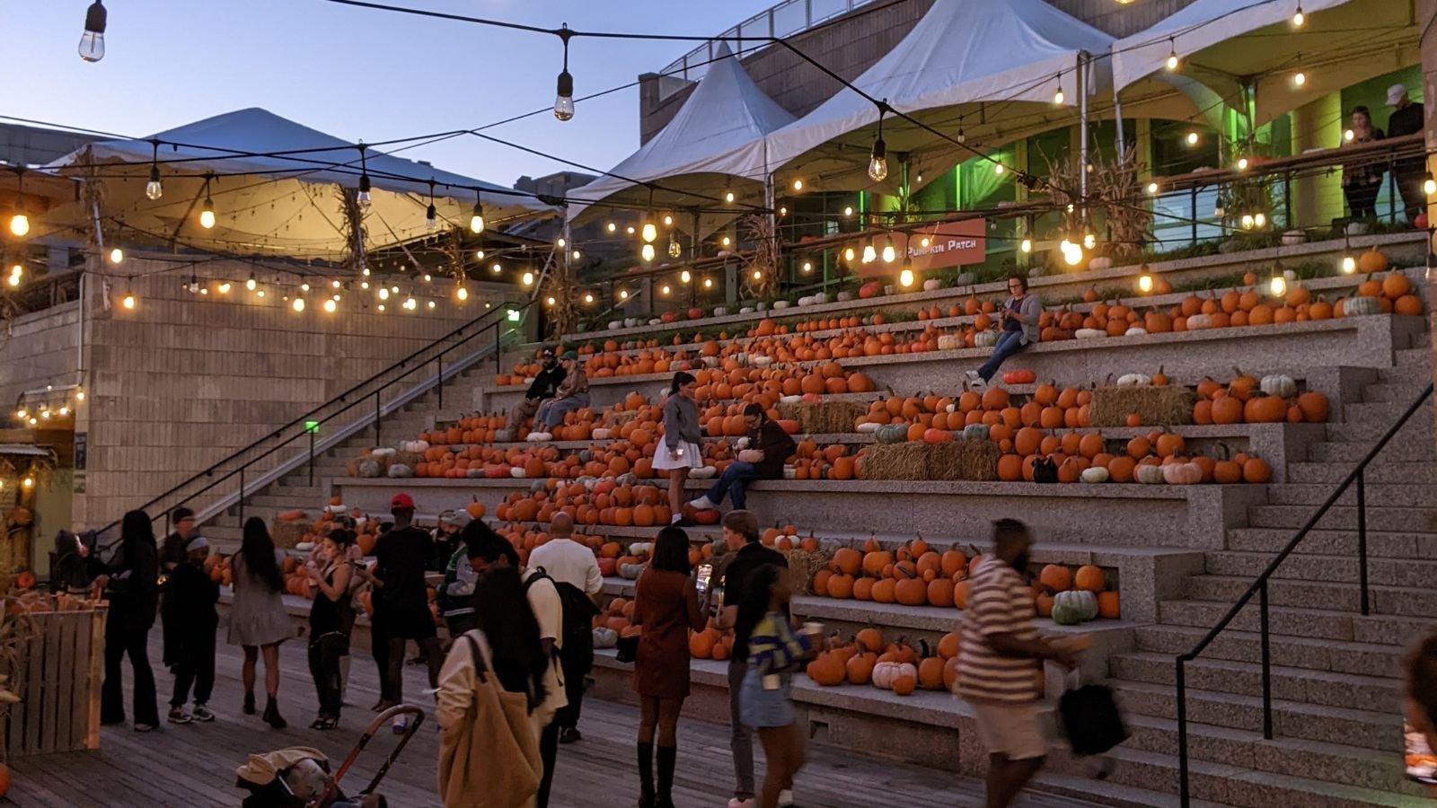 A giant pumpkin patch is popping up again along Philadelphia's waterfront