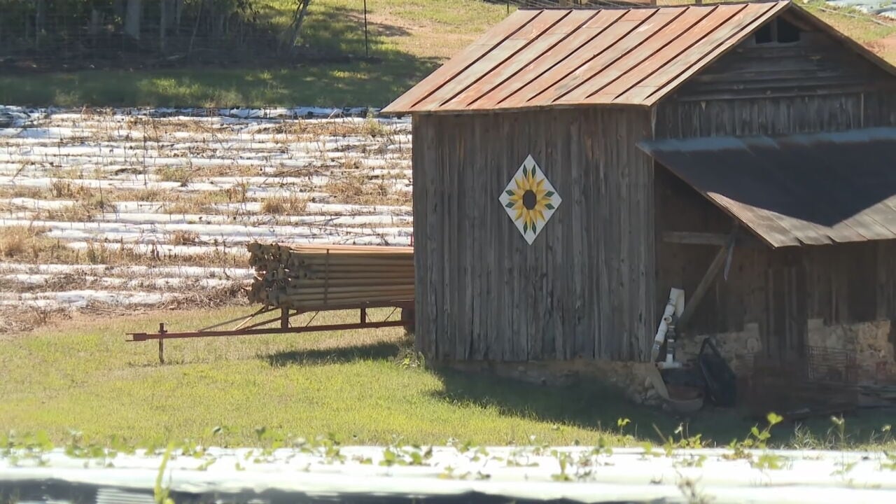 Airbnb launches ‘Farm to Stay’ program, offers farmers up to $10K grants