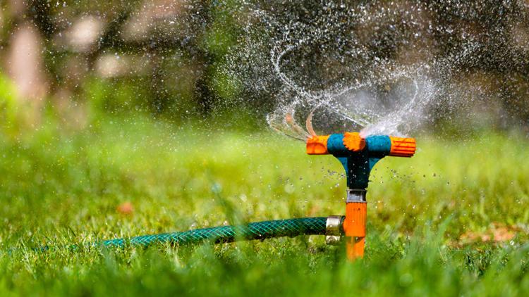 Denver Water bans lawn watering Thursday, warns of hefty fines for violators