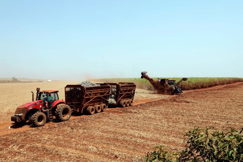 Analysis-Weather, not price, to drive Brazil mills on sugar production