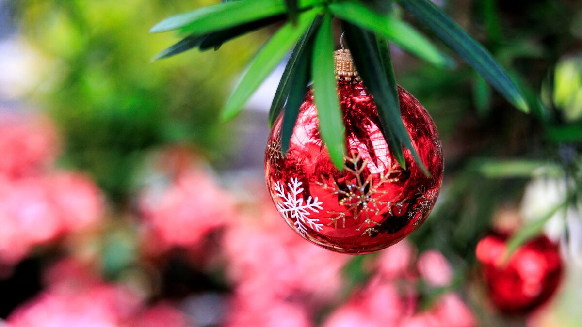 Yes, there’s a Spirit Christmas, and Clearwater’s getting one