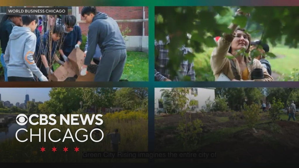 Contest winners seek to build a greener, more connected Chicago