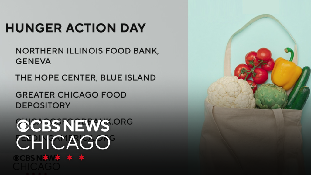 Chicago area volunteers coming together for Hunger Action Day
