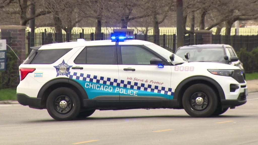 Chicago police investigating string of 40 car burglaries in Bronezville and South Loop