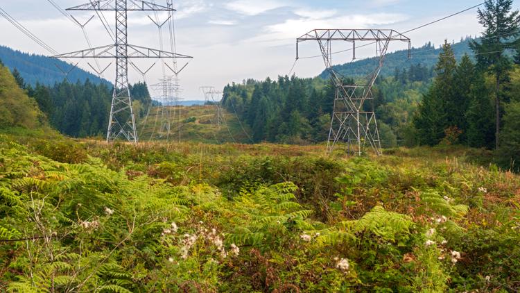 Puget Sound Energy customers can weigh in on proposed three-year rate hikes