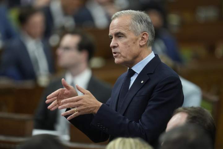 Immigration increase could be on the horizon, Carney suggests in interview