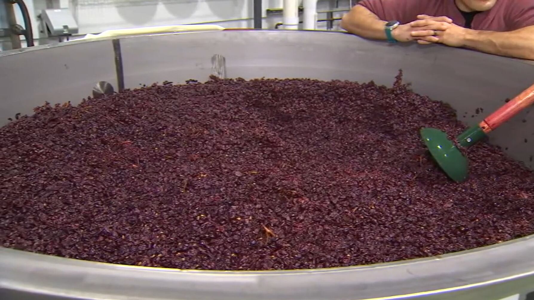 Fall harvest at Flâneur Wines in Carlton