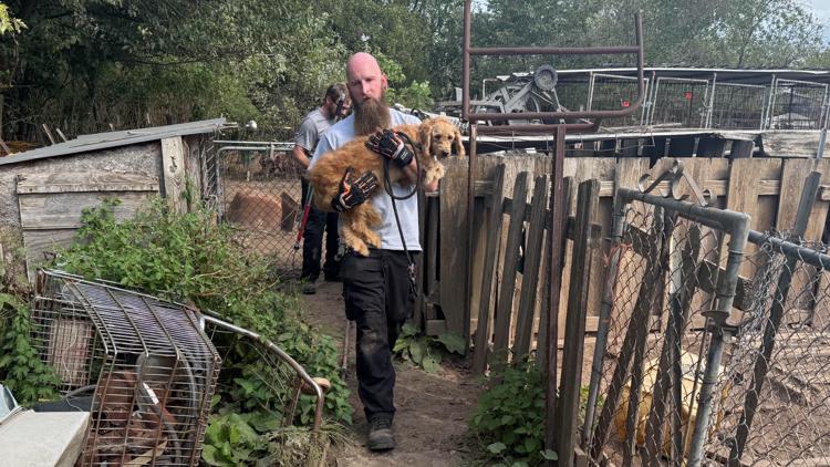 100+ animals rescued from Missouri property in case official calls worst hoarding situation in 40 years