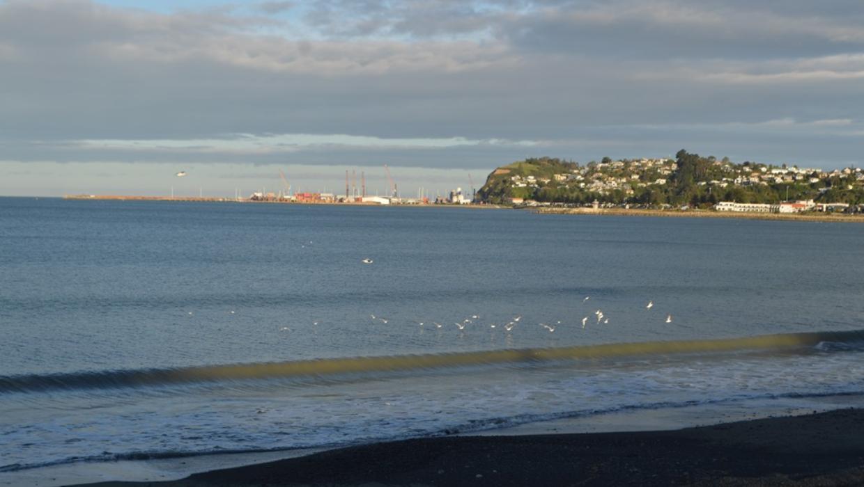 Manslaughter charge laid against woman caring for boy who drowned at Napier beach
