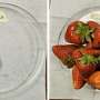 How a new textile fabric could triple production in strawberry plants