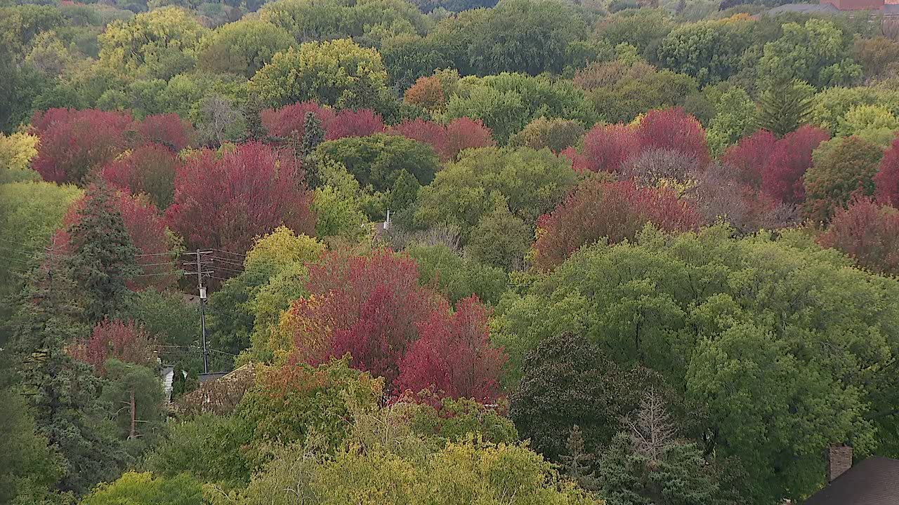 Things to do in Minnesota: 5 things to do this weekend (Oct. 3–4)
