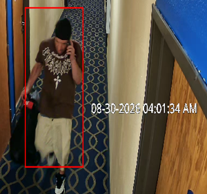 Madison Police seek public’s help identifying burglary suspects