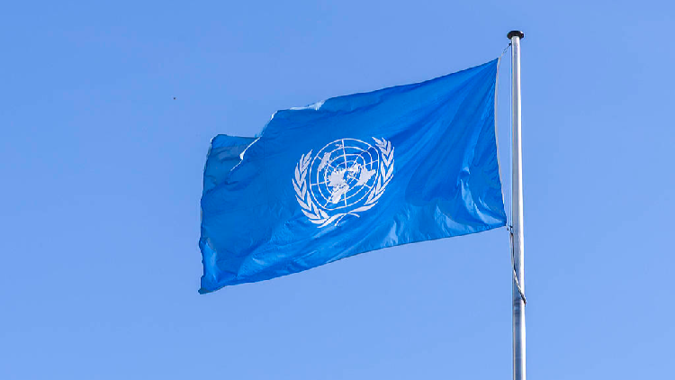 UN holds 4th straw poll on secretary-general candidates