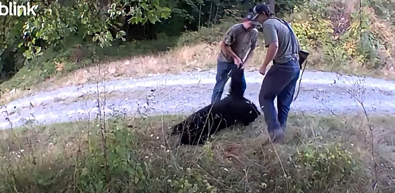 Dept. of Fish and Wildlife looking to ID two men who illegally poached, trespassed in Oso