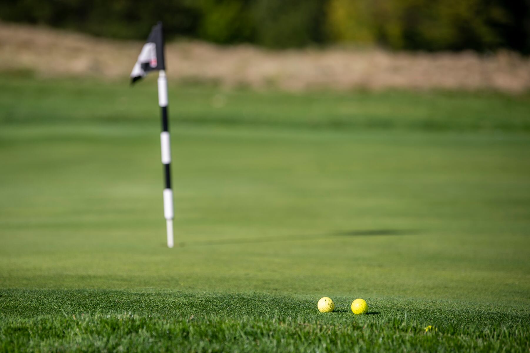 Champions crowned, records broken in Ann Arbor-area sports roundup