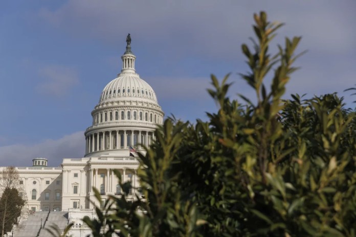 Trump orders Cabinet departments to find solution to DC’s mosquito problem