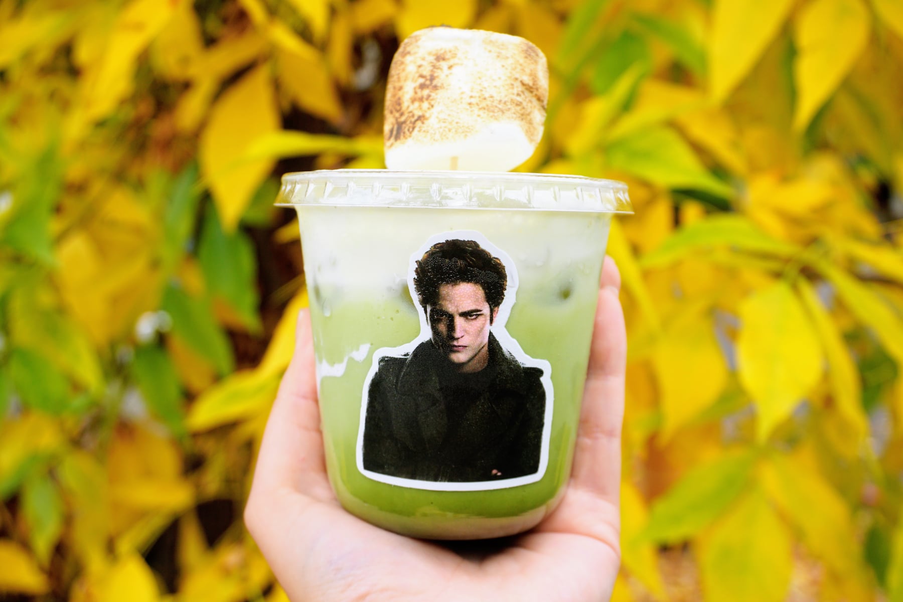 Team Jacob runs this 'Twilight'-inspired coffee shop