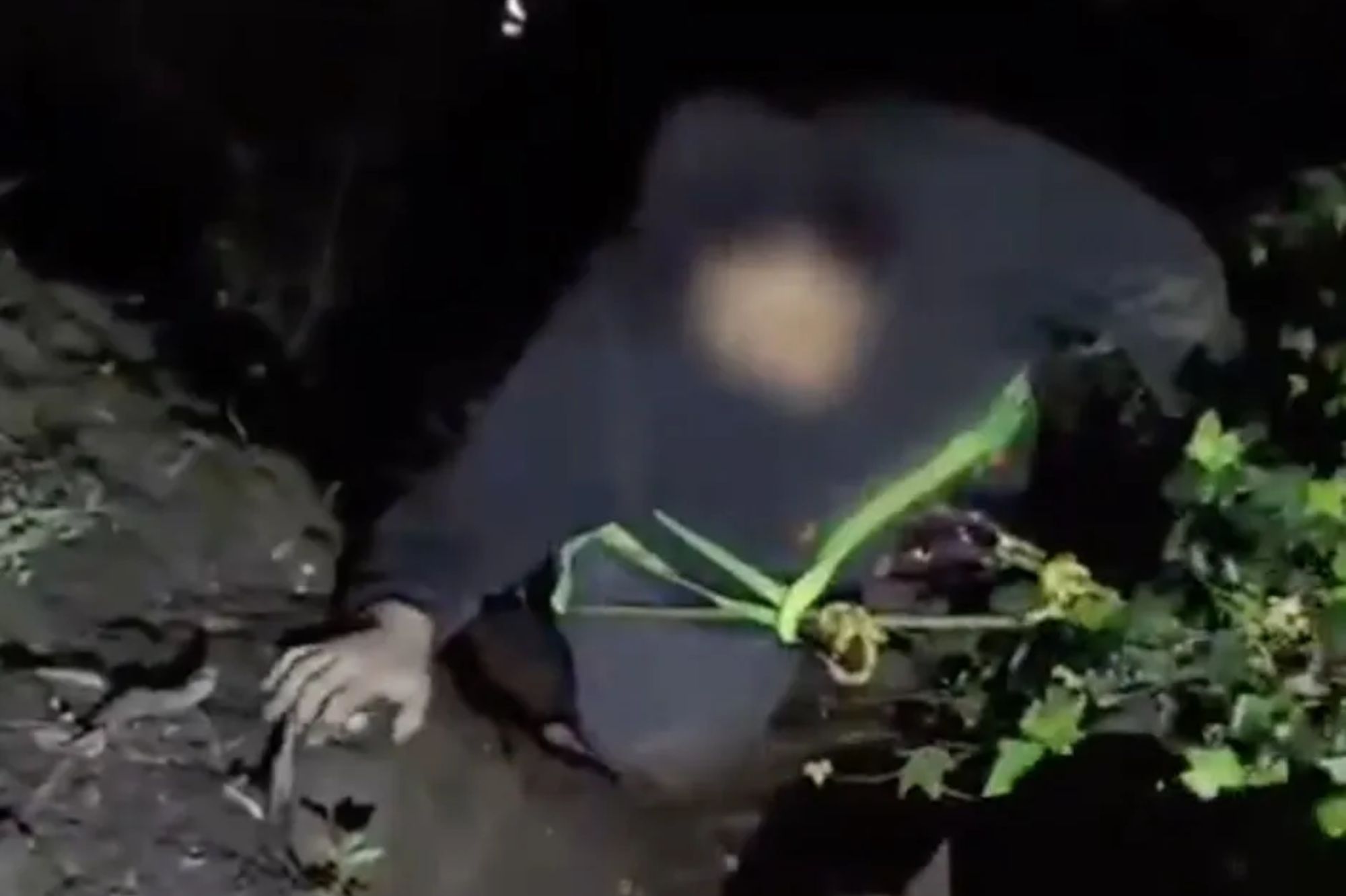 Nine teenage ghost hunters rescued from cave after vanishing down 65ft ravine while searching for ancient haunted house