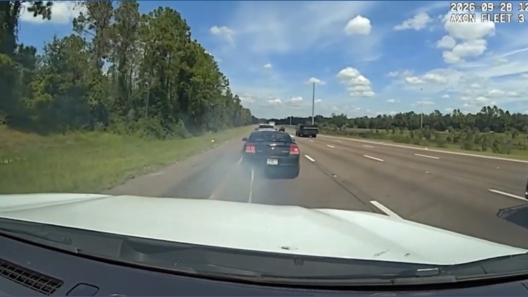 VIDEO: Hillsborough deputies use Grappler to stop felony suspect on I-75