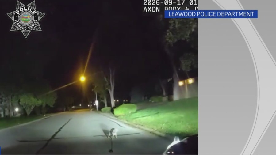 Loyal dog stops Leawood police officer, leads him to owner on garage floor
