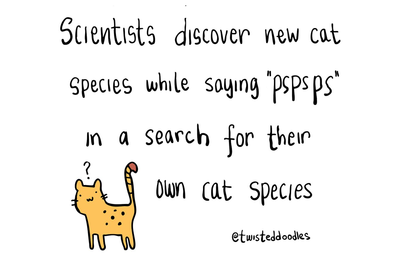 Twisteddoodles on the discovery of a new cat species