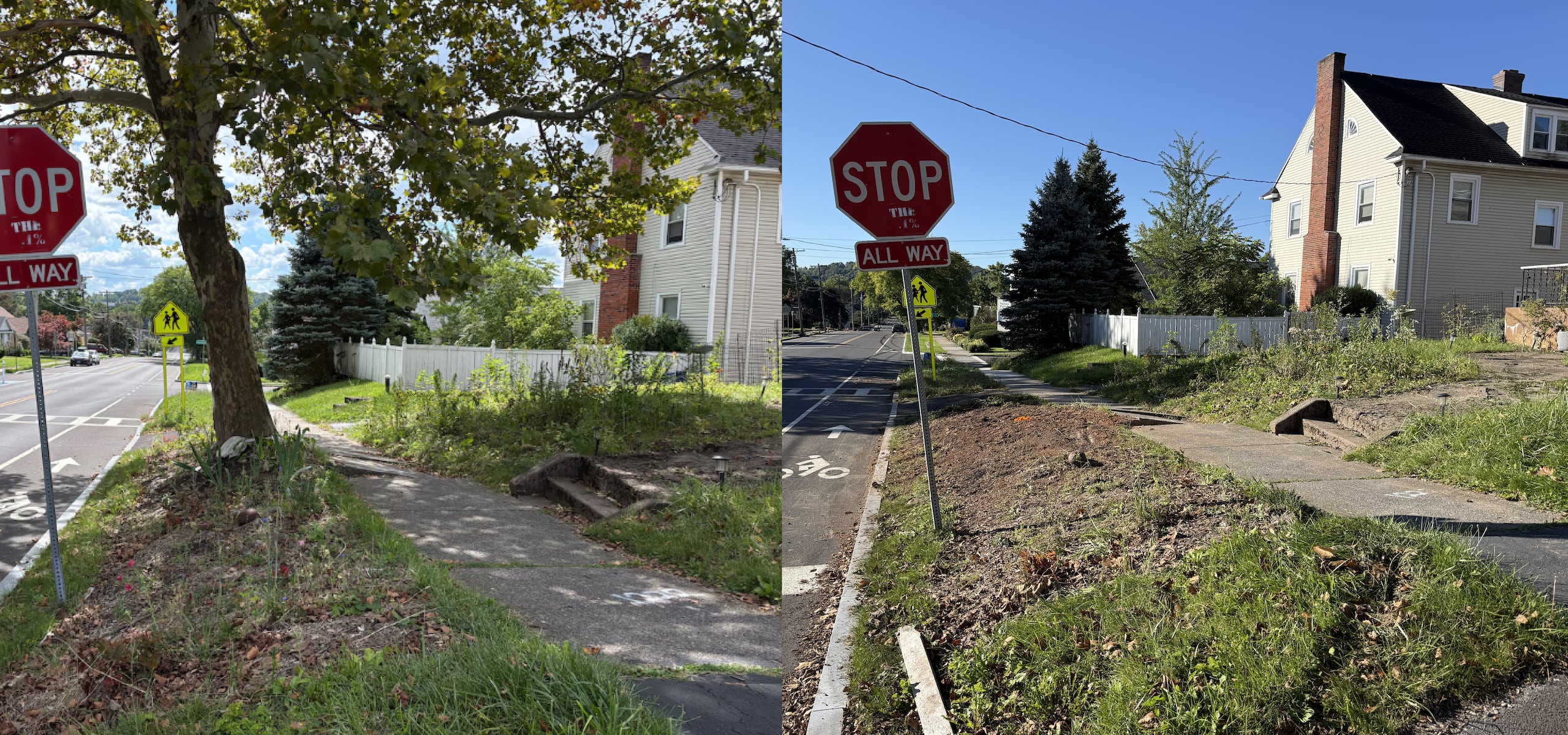 Dozens of trees cut down to build new sidewalks in Syracuse; some residents upset