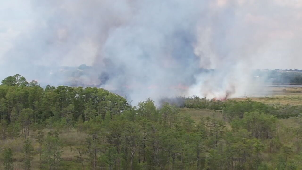 Marsh fire grows to 105 acres near Silver Eagle Road in Groveland