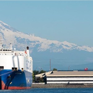 Ocean rates highest in a year amid US-China trade truce