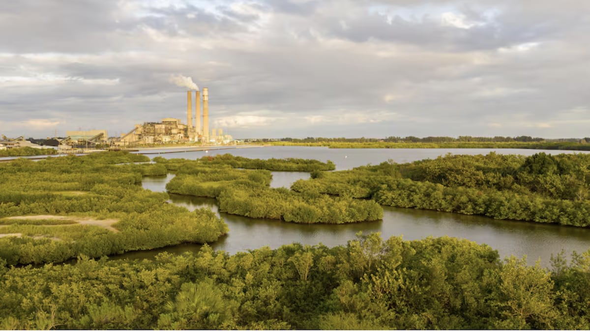 TECO unveils data center plan, says it’ll shield residents from costs